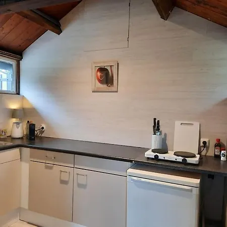 Tuinkamer Met Landelijk Uitzicht En Zwembad. Apartment Berkel-Enschot
