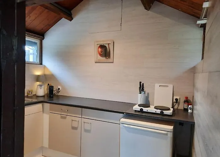 Tuinkamer Met Landelijk Uitzicht En Zwembad. 公寓 Berkel-Enschot